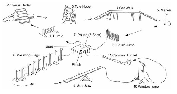 agility course obstacles